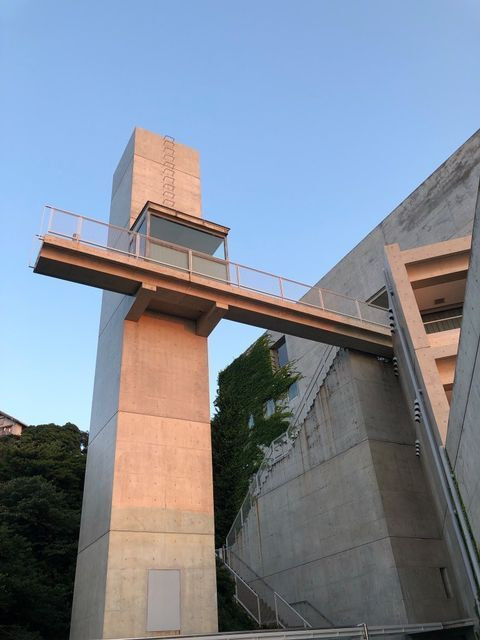 _saoriiiiinさんの写真 / 1