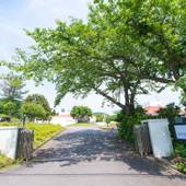 リブマックスリゾート伊東川奈（静岡県 リゾートホテル） / 4