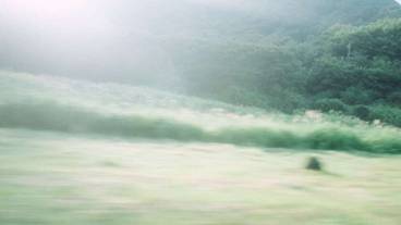 ランド ビュー / 18