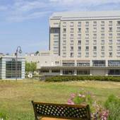 癒しのリゾート 加賀の幸 ホテル アローレ（石川県 リゾートホテル） / 4