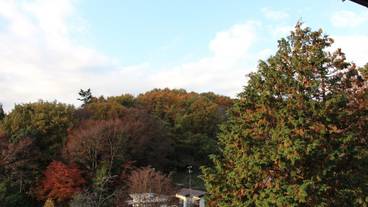 施設からの眺望 / 16