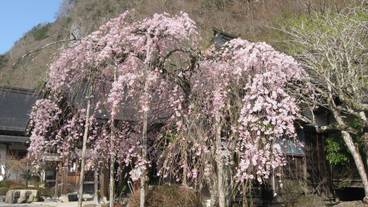 施設の敷地 / 10