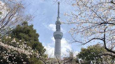 観光スポット / 7