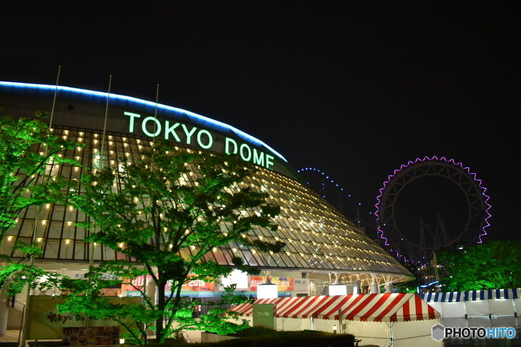 明治・昭和の雰囲気を味わえる、文化財のレトロ宿4757359