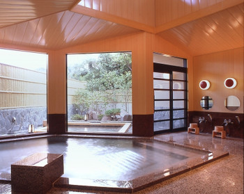 2.火山が生んだ天然温泉でリフレッシュ!「ホテル白岩」4255531