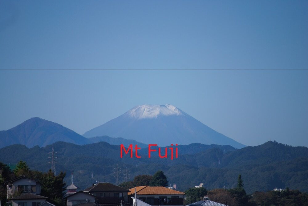 施設からの眺望