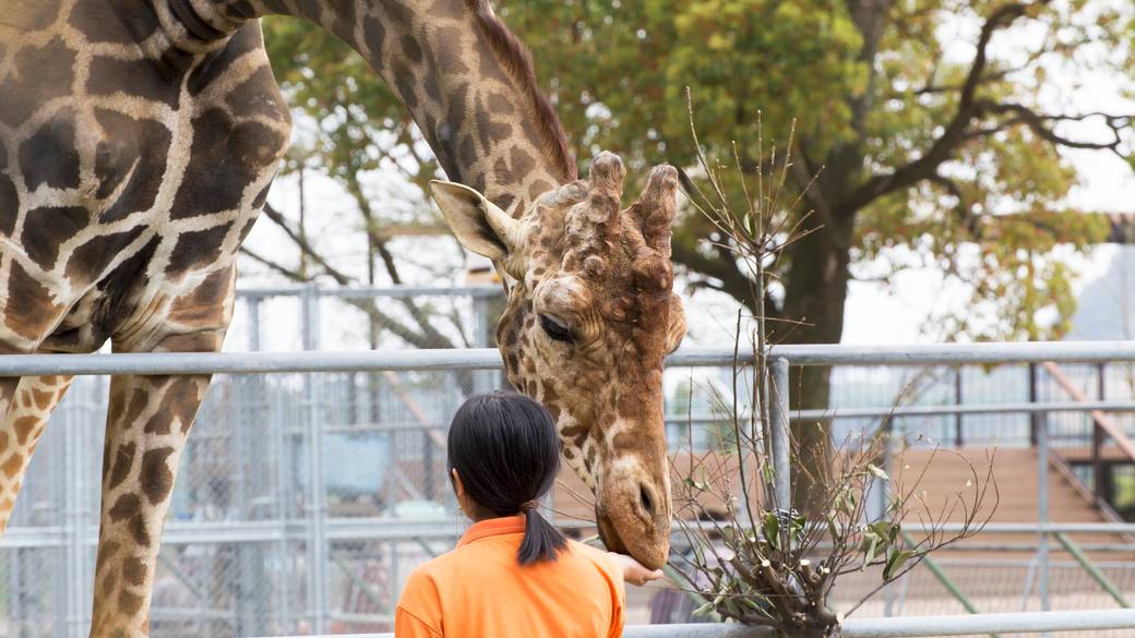 福岡市動植物園（動物園） / 2