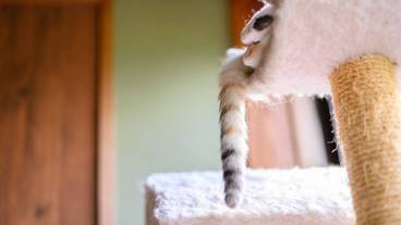 施設内の設備 / 27