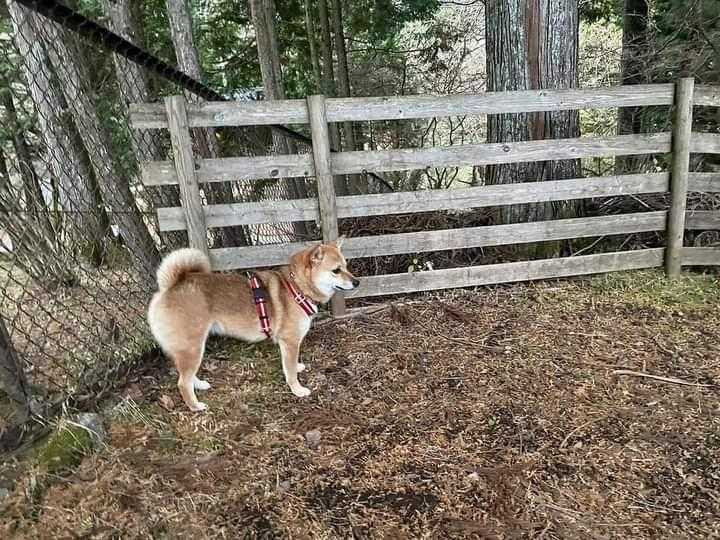 anzu.1120さんの写真 / 3