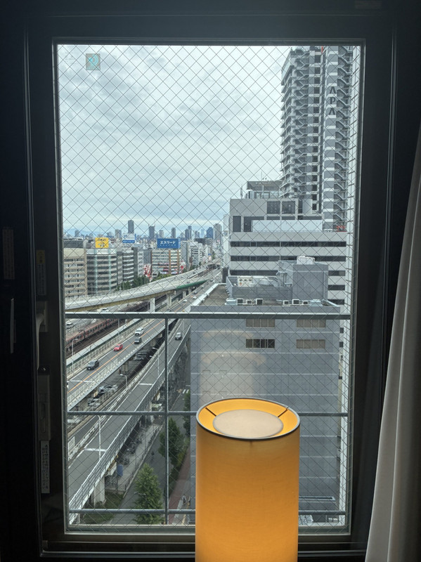窓が小さいけど新大阪駅あたりがみえます