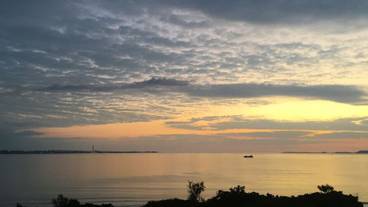 ビーチ / オーシャン ビュー / 11