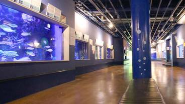竹島水族館 / 6