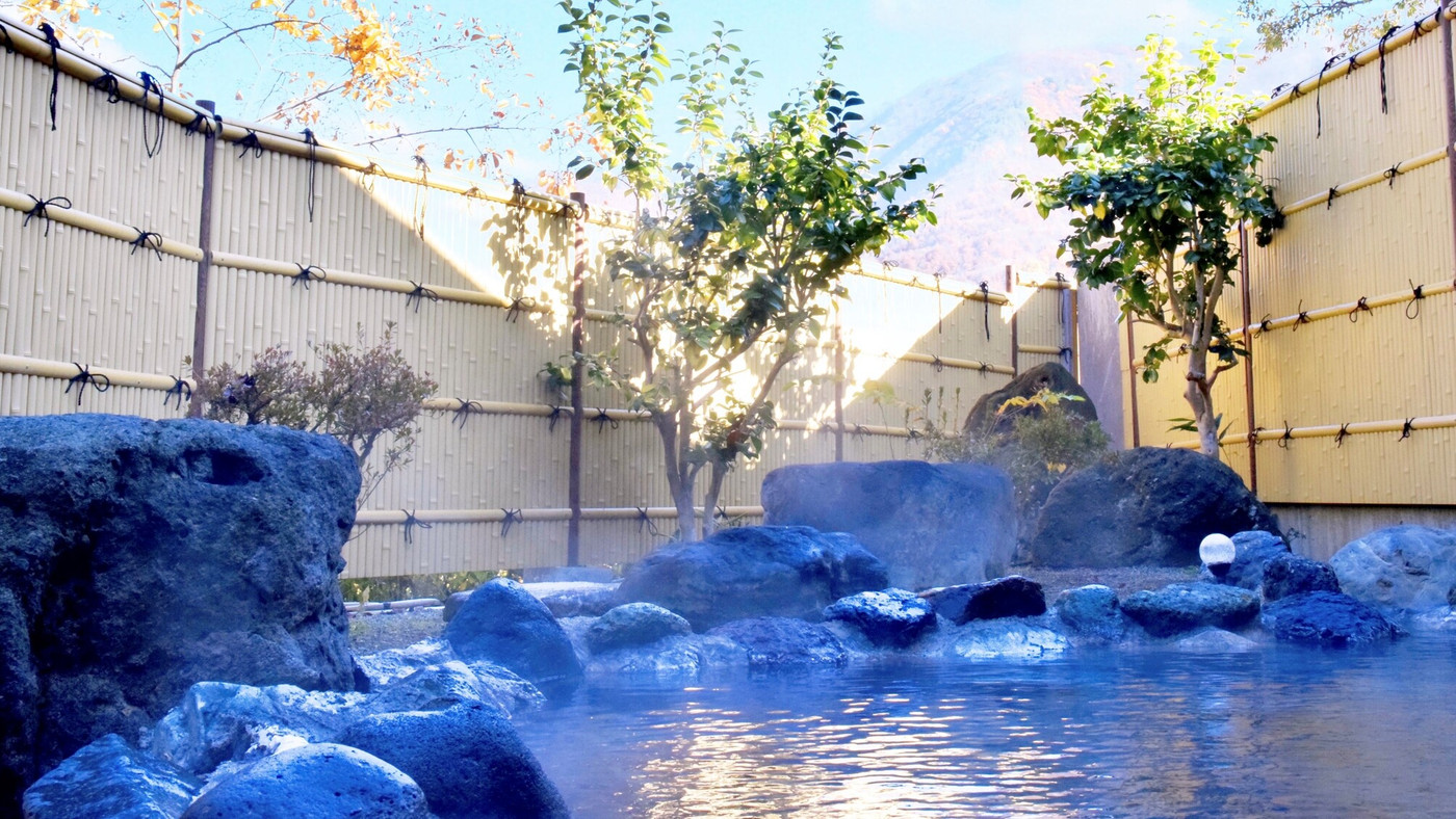 ペット宿泊OK！ワンちゃんと一緒に楽しい思い出を作ろう3655022