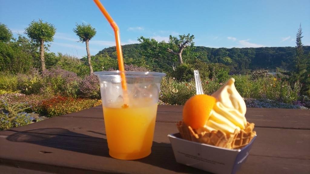 道の駅に寄りつつ
南房総をドライブ / 2