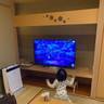 kyyn913126さんの写真