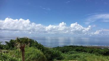 施設からの眺望 / 10