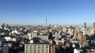 客室からの眺望一例 / 15