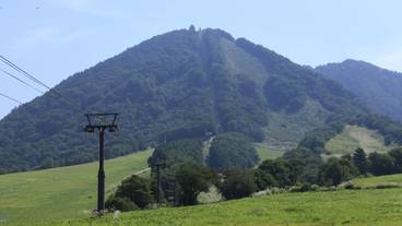 施設の敷地 / 12