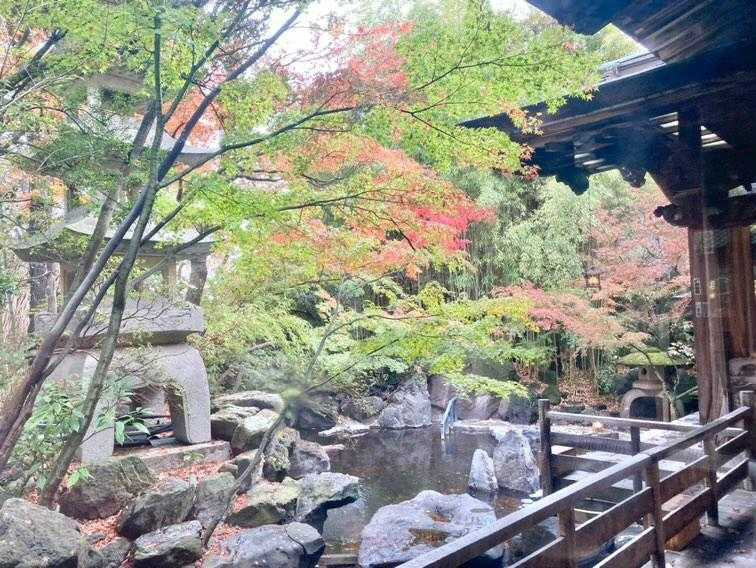 mio1213universityさんの写真 / 3