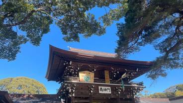 シティ ビュー / 12