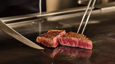 レストラン / 10