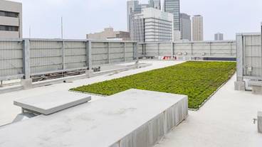 屋上テラス / 10