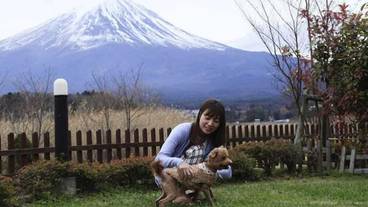 施設からの眺望 / 14