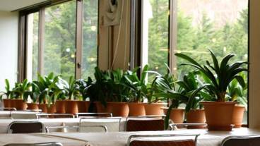 レストラン / 16