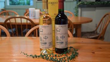 食事・飲み物 / 29