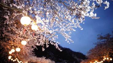 施設からの眺望 / 27