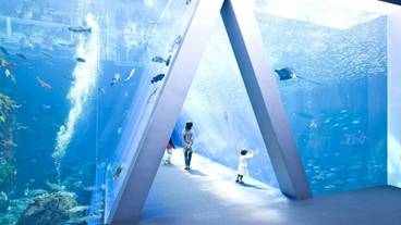 観光スポット / 11