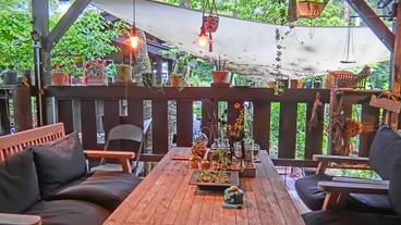 テラス / パティオ / 15