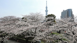 バンクツインルーム 禁煙