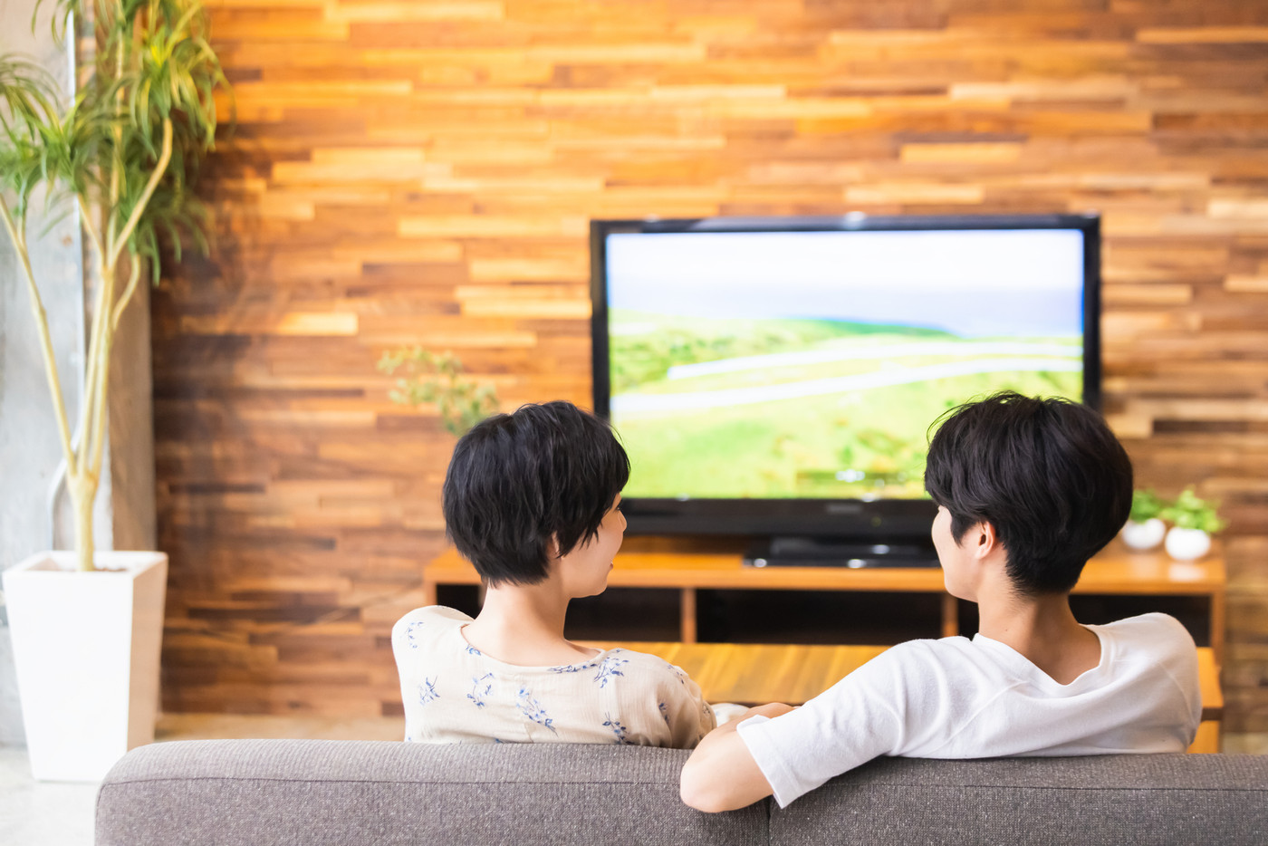 カップル　ライフスタイル　テレビ