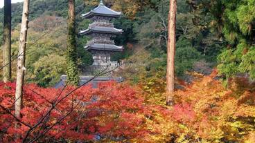 施設からの眺望 / 12