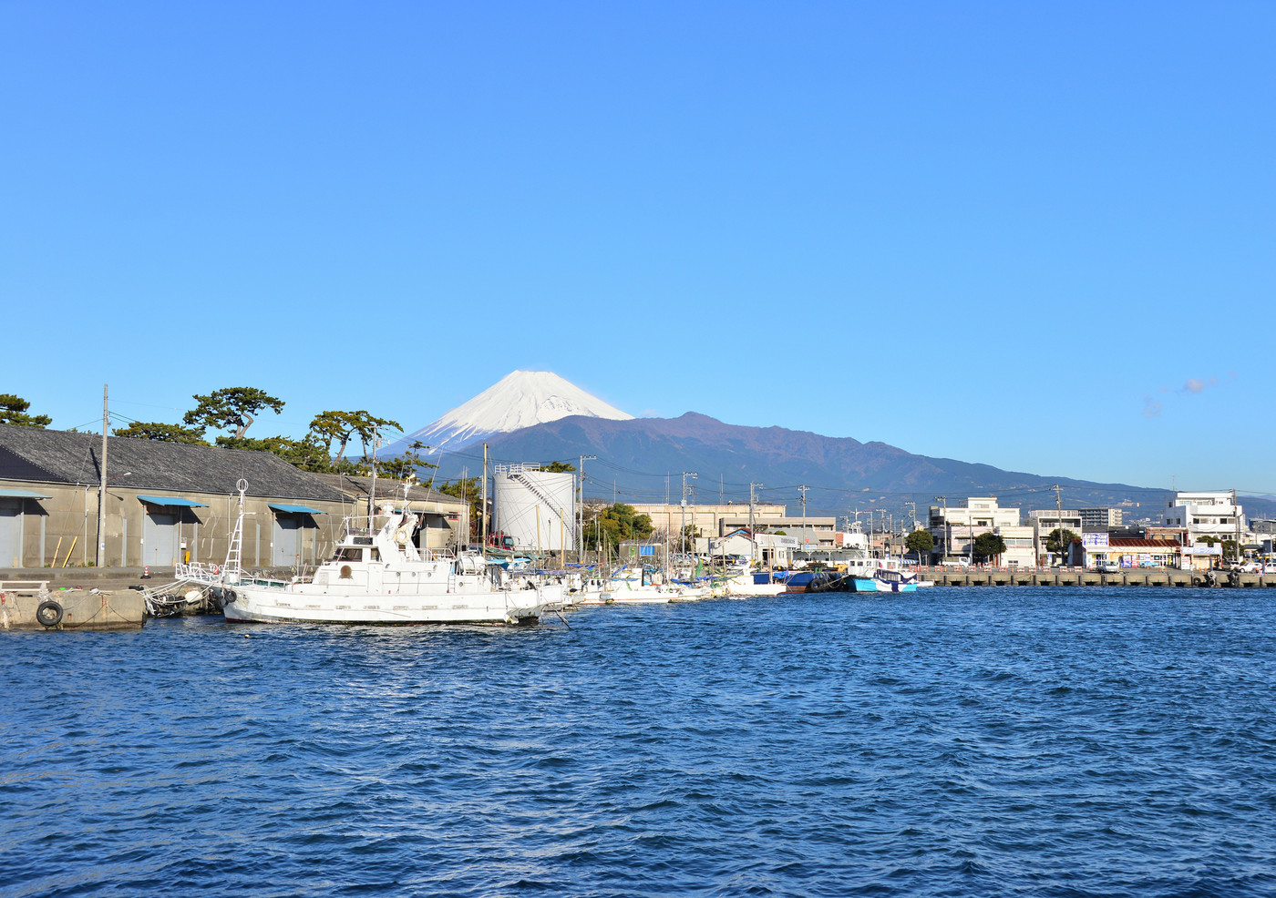 沼津港と富士山-88185
