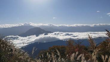 ランド ビュー / 6