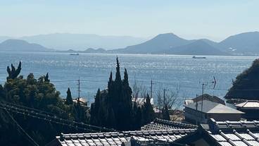 ビーチ / オーシャン ビュー / 15