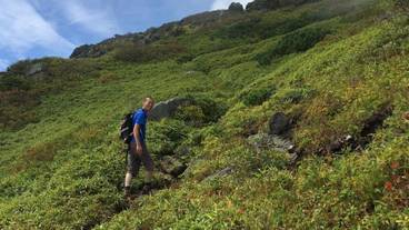 施設の敷地 / 15