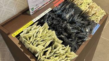 施設内の設備 / 9