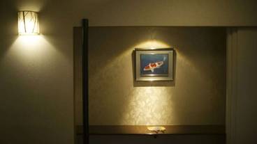 内装の詳細 / 28