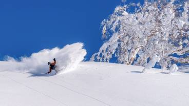 スノーボード / 32