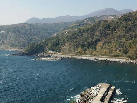 ペットと泊まれる温泉付貸別荘 エンゼルフォレスト伊豆高原（赤沢望洋台） / 2