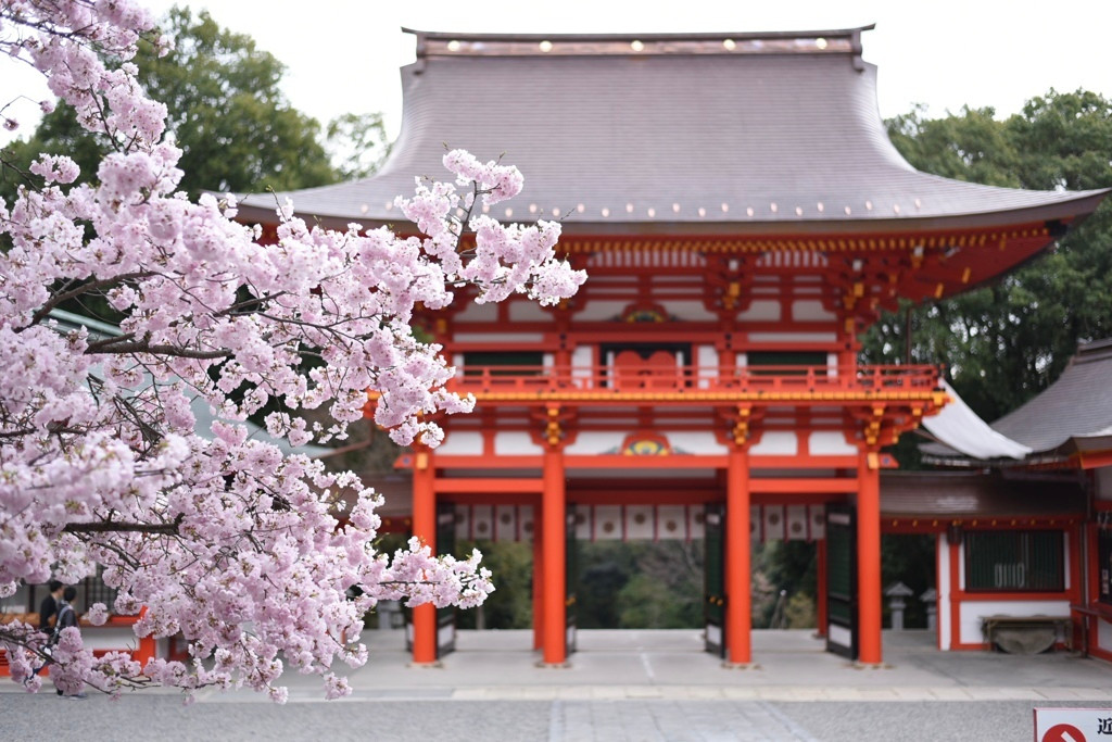 比叡山延暦寺や近江神宮など、滋賀には名所がたくさん2612022