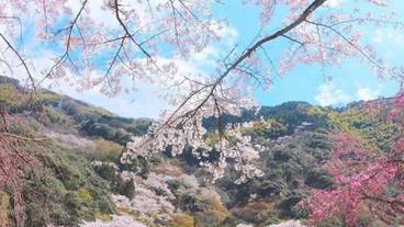 施設からの眺望 / 30