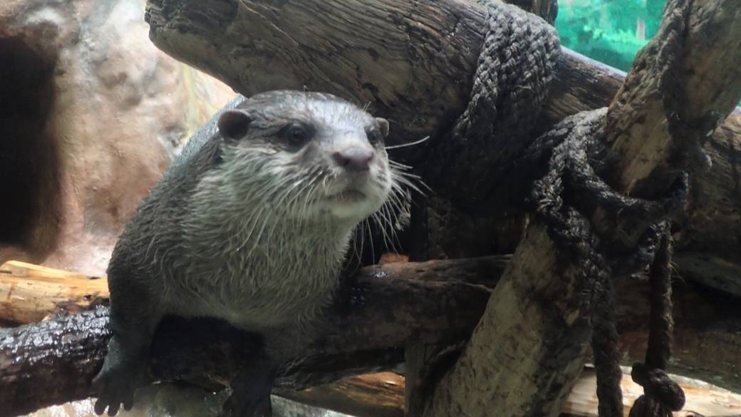 サンピアザ水族館 / 2