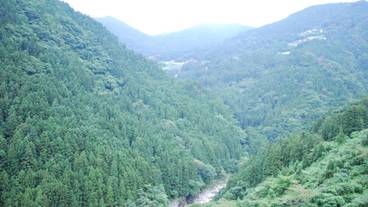 マウンテン ビュー / 33