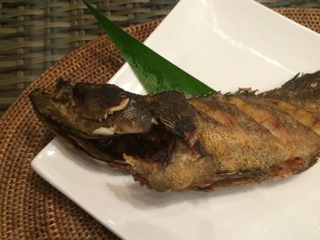 エコヴィレッジ西表 / 5