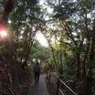 山上の遊歩道