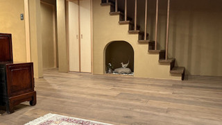 栗の蔵 （13歳からご宿泊可能）